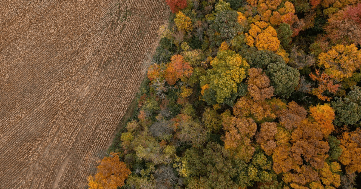 Featured Image for A New Farm and a Two-Year Chase for a Giant Illinois Whitetail